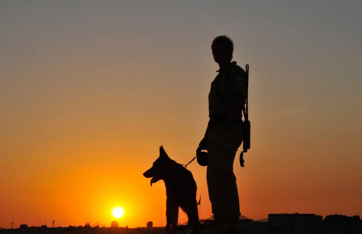 Пограничники на закате