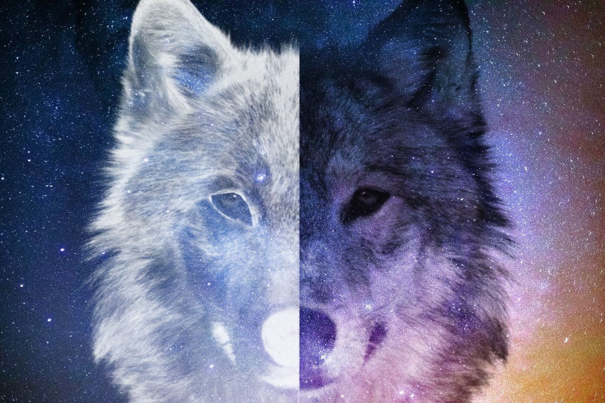 Волк с огненными глазами