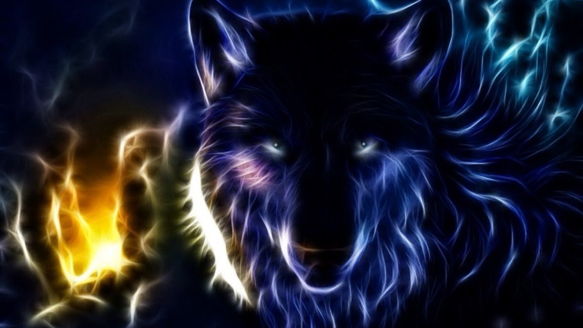 Морда волка арт