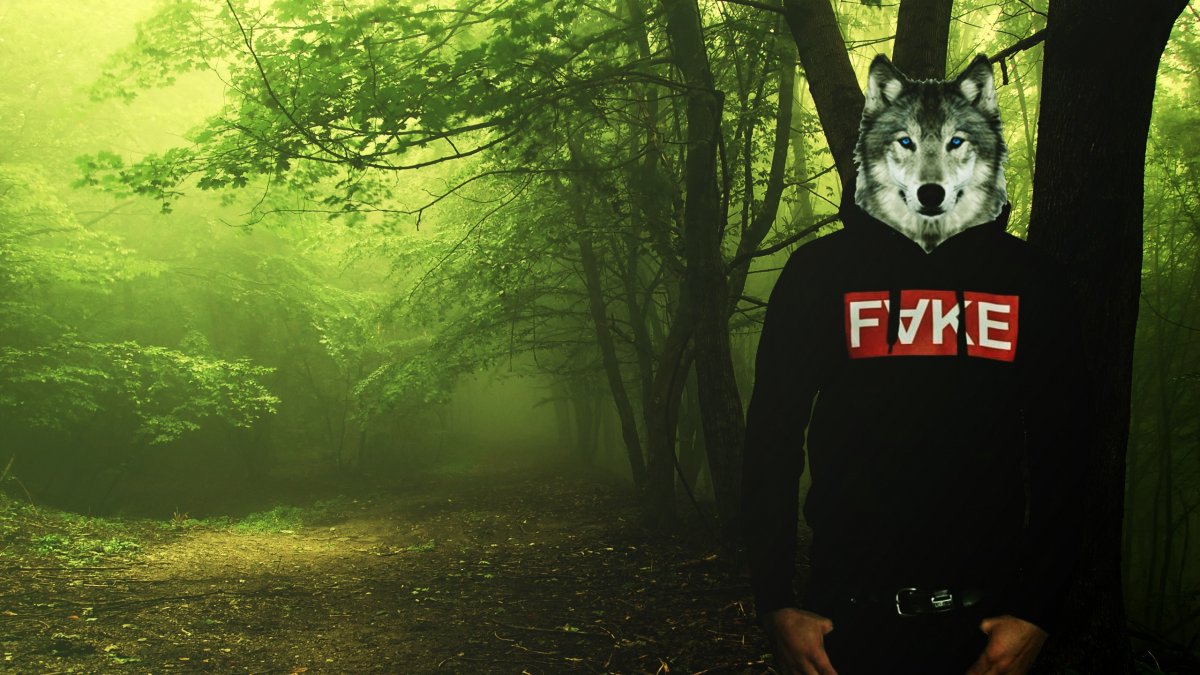 Обои волк на телефон андроид