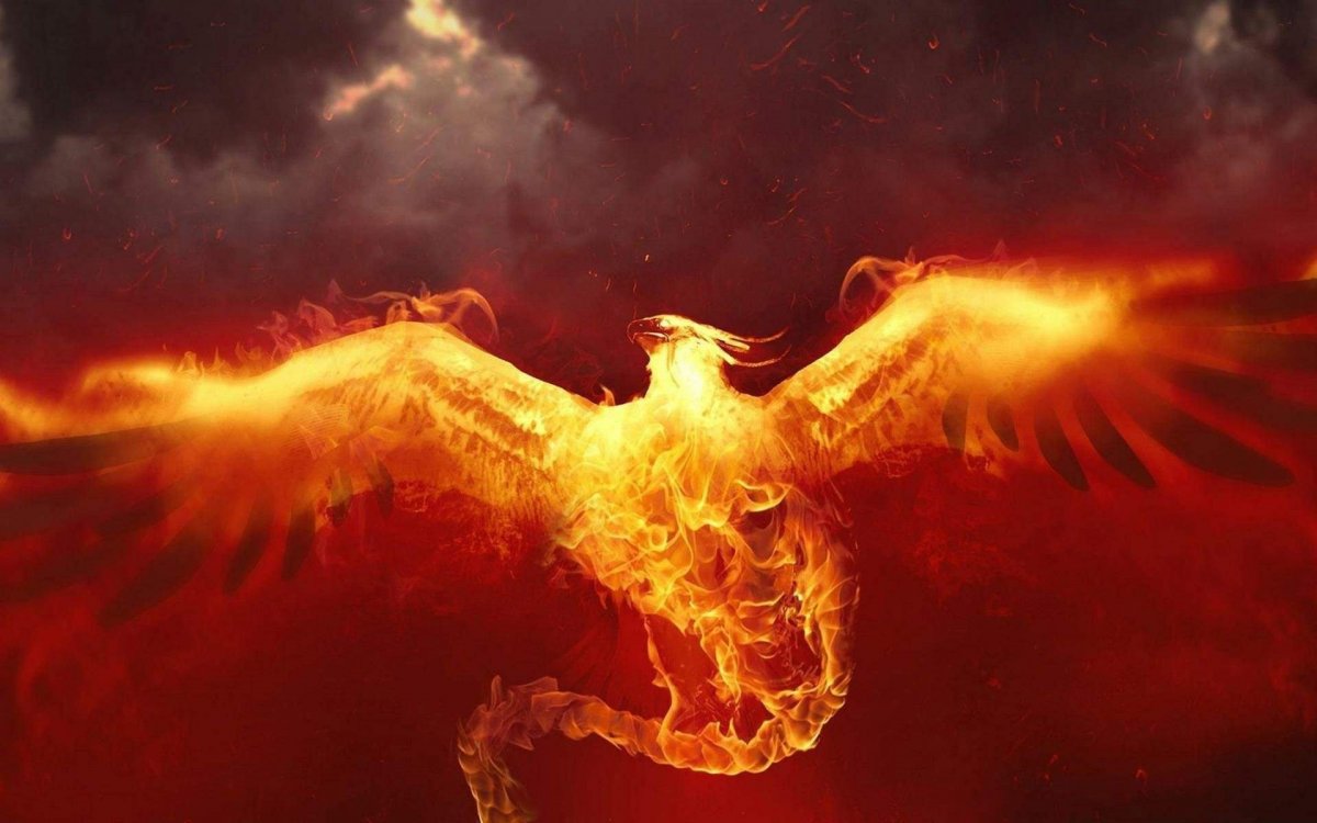 Птица Феникс высокого качества