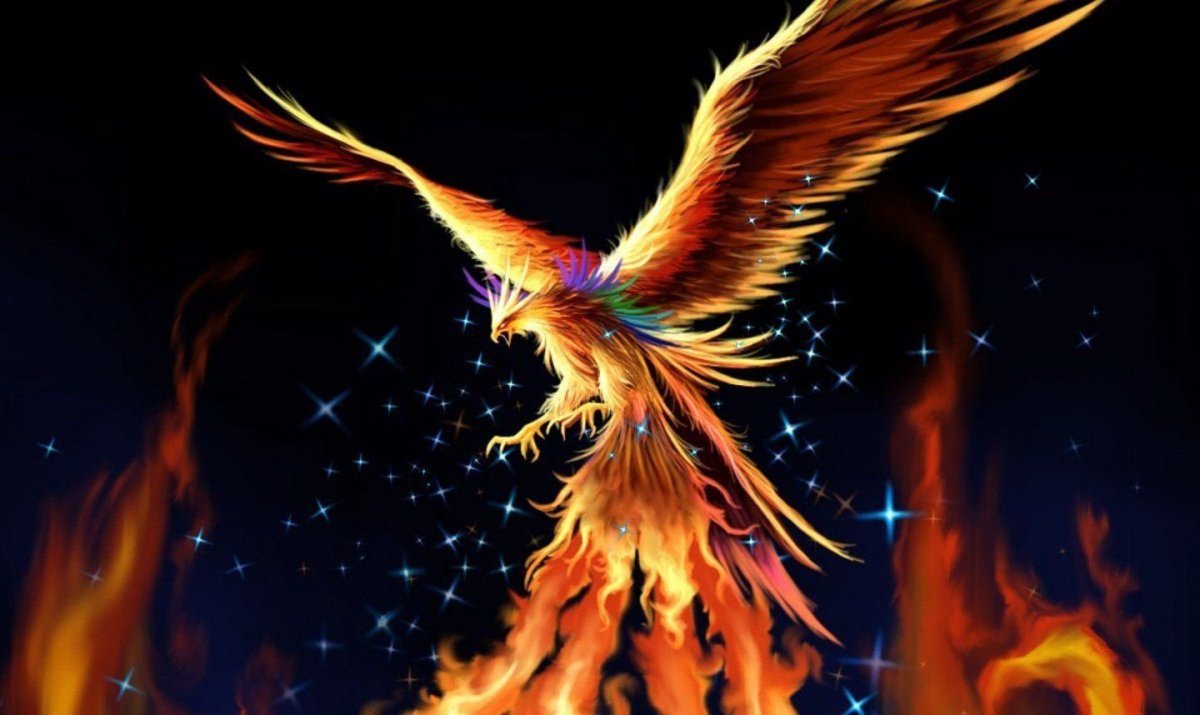 Птица феникс обои