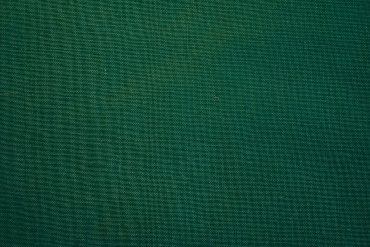 Изумрудный цвет 50c878