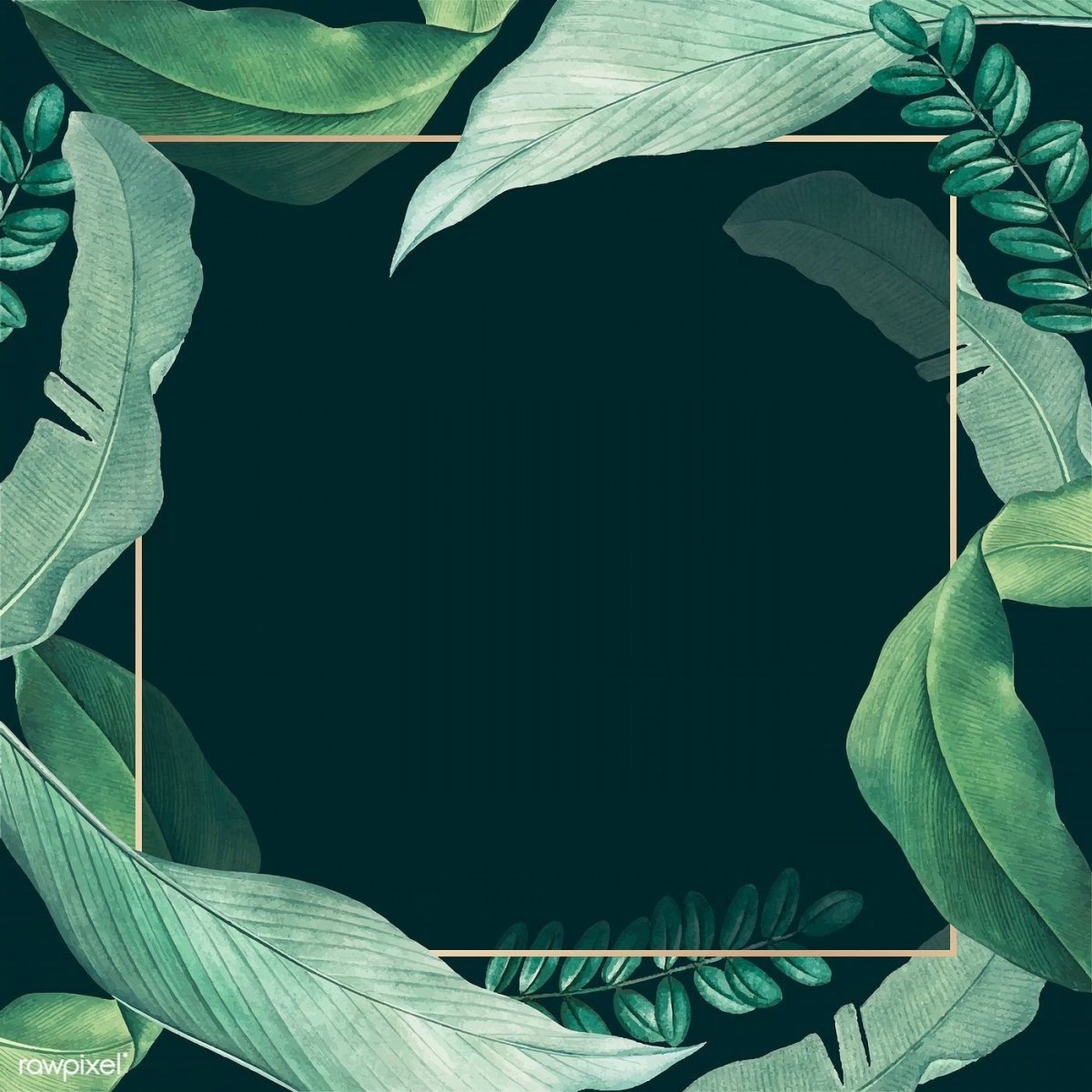 Темно зеленый фон