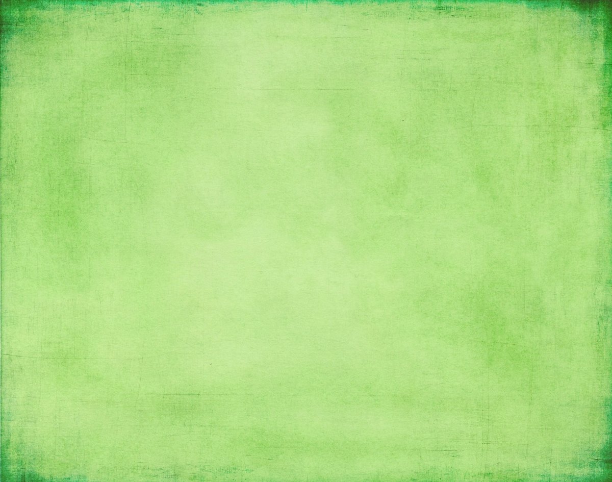 Темно зеленые листья