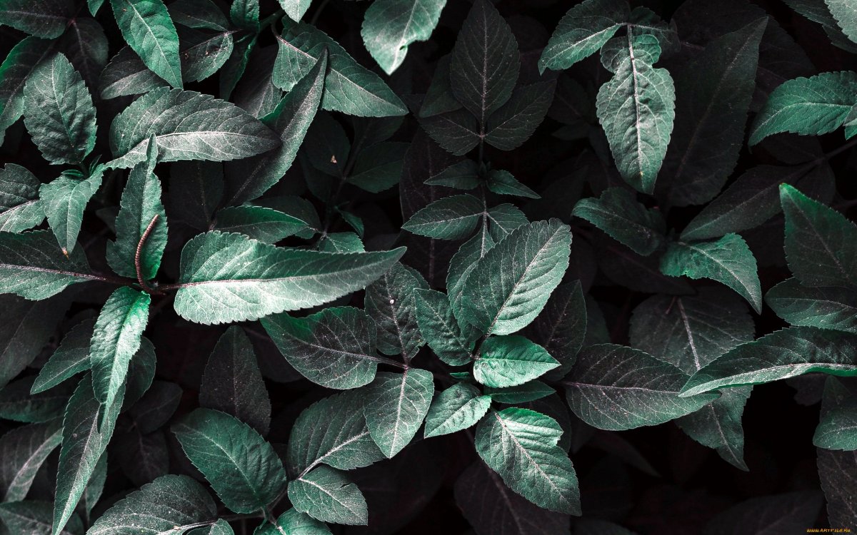 Фон для презентации геометрия