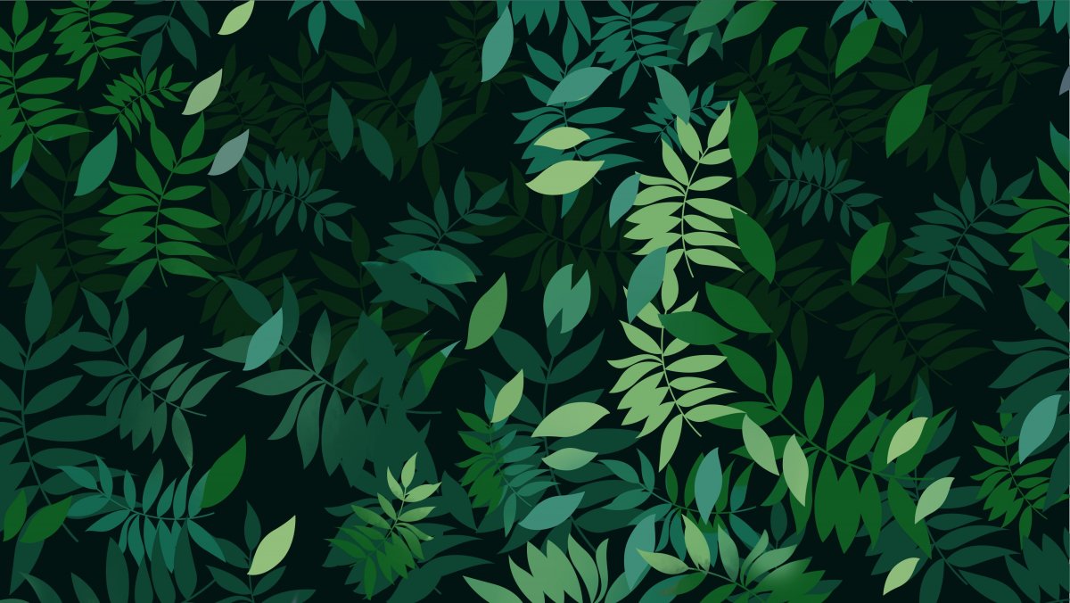 Изумрудный фон для фотошопа