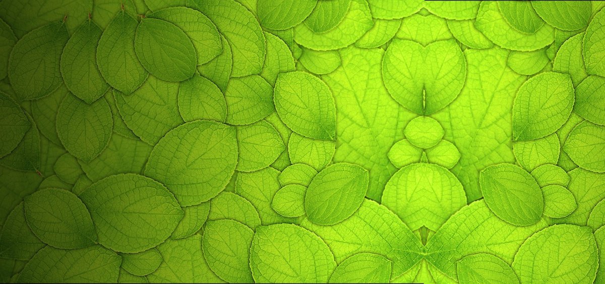 Зеленая текстура