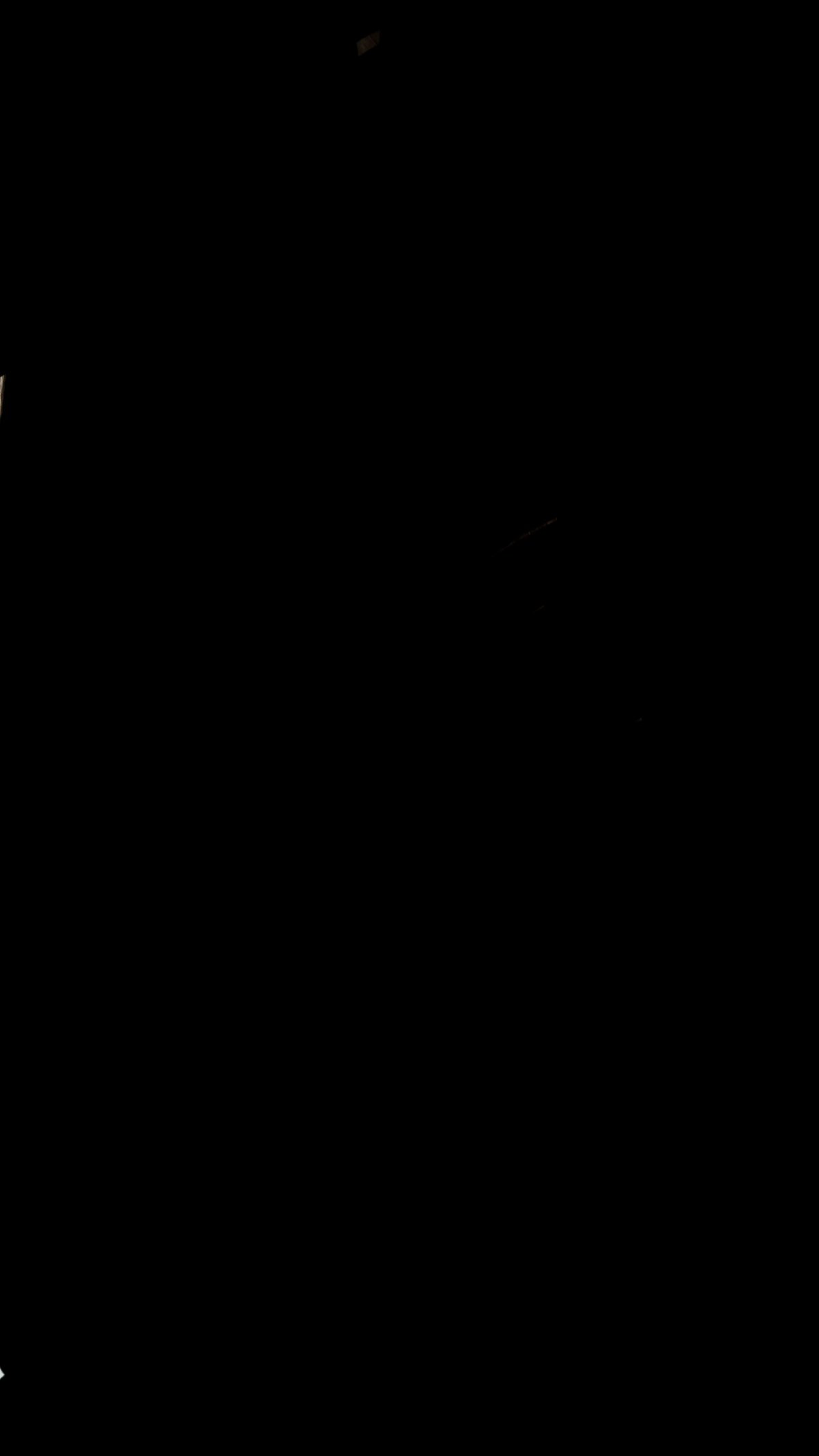 Черный цвет 000000