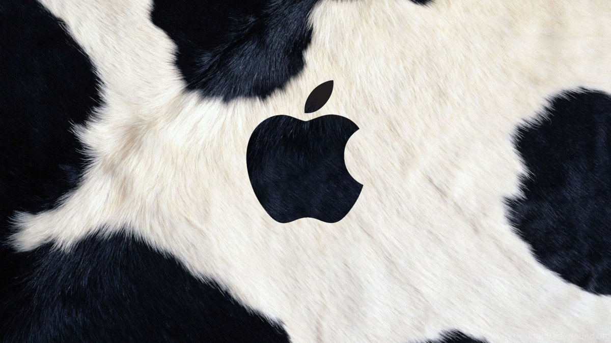 Коровьи обои на телефон