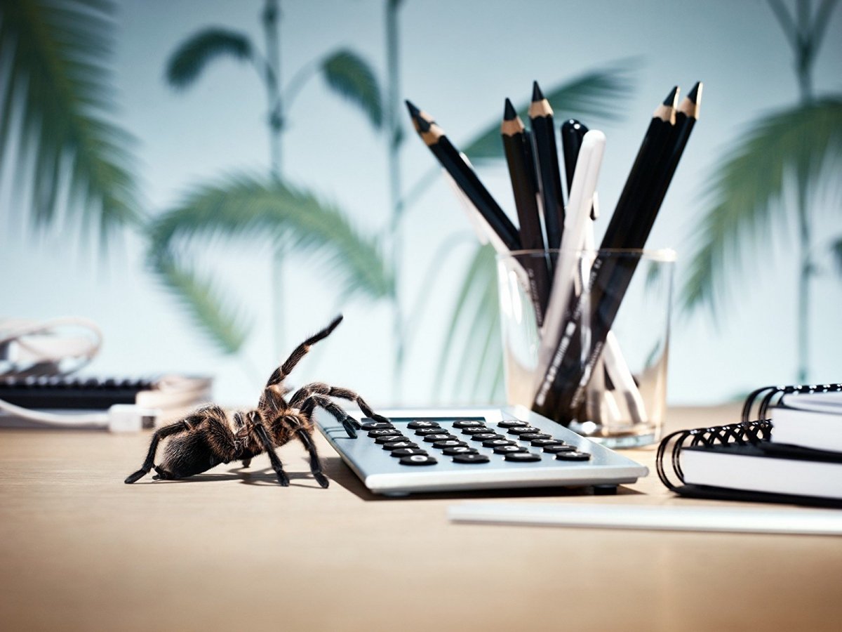 Школьный фон на рабочий стол