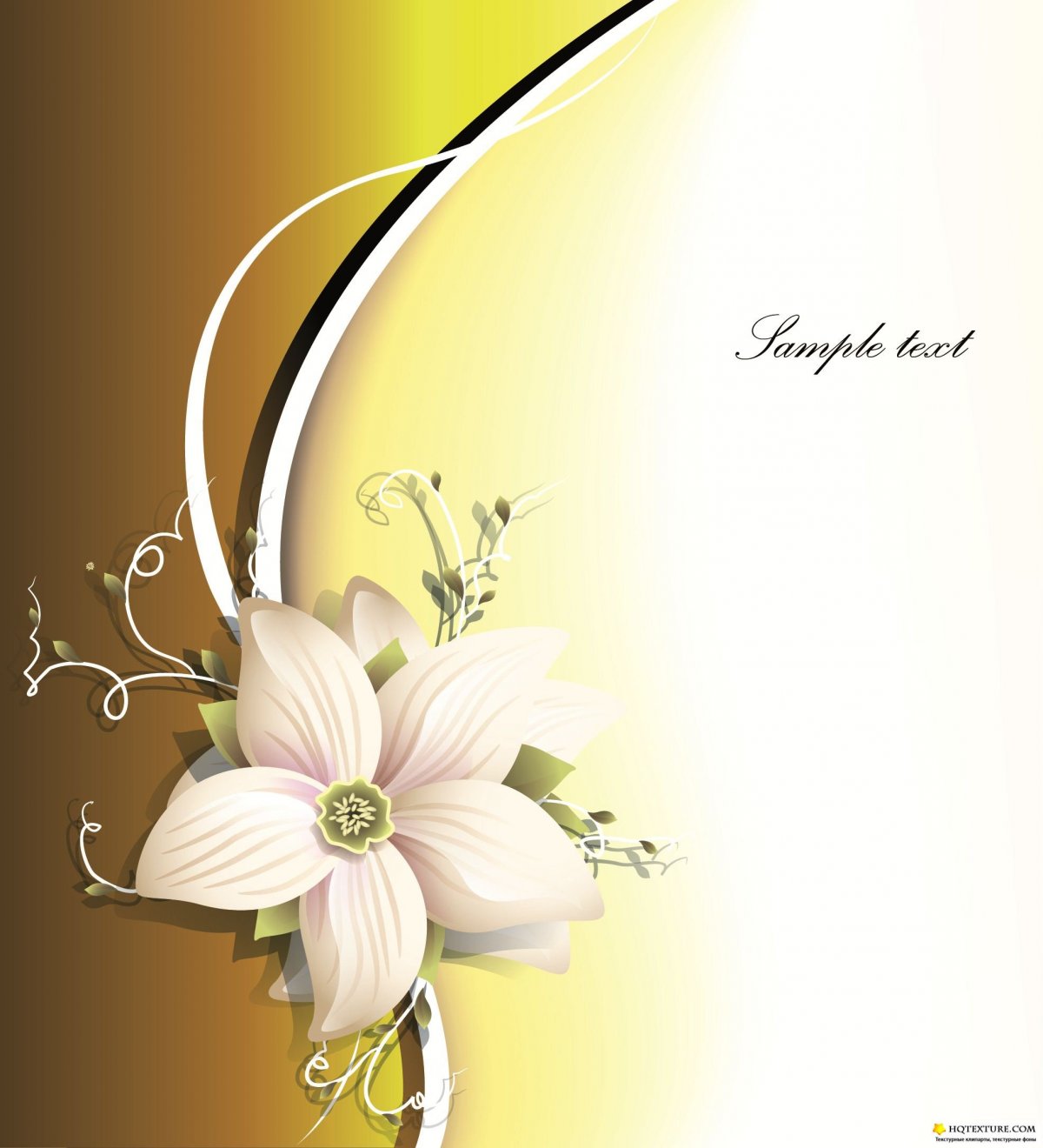 Нежный фон для презентации с цветами