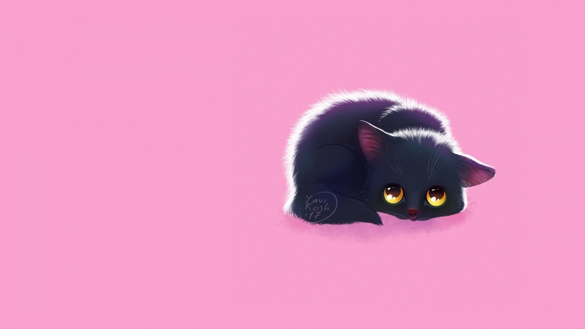 Обои с котами на рабочий стол Пинтерест