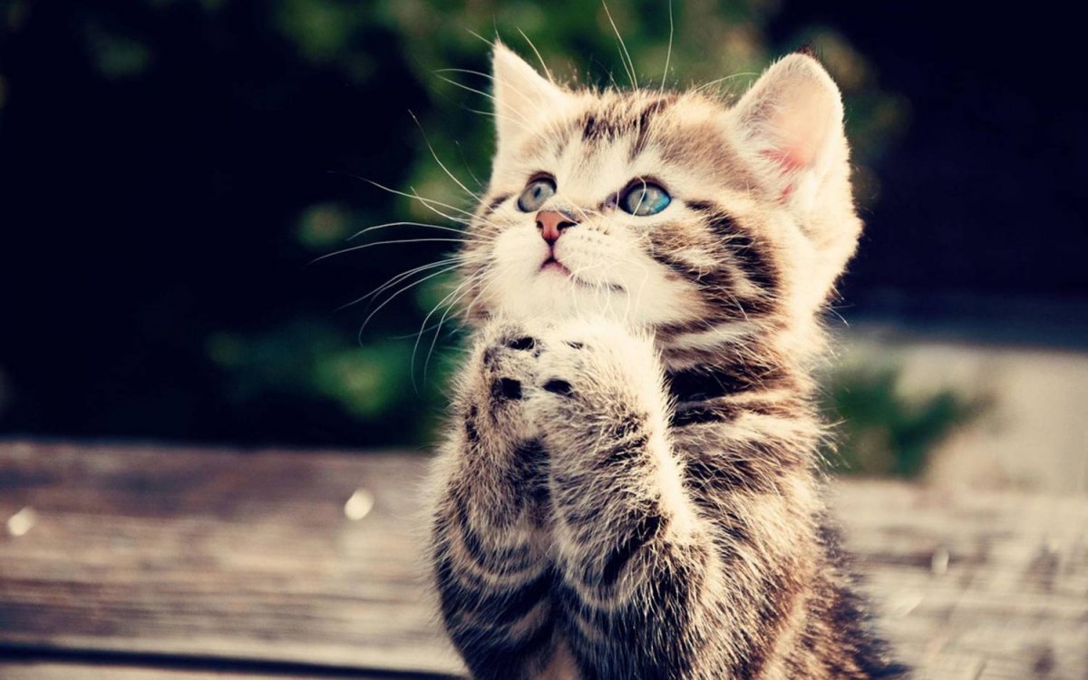 Отпустите с работы