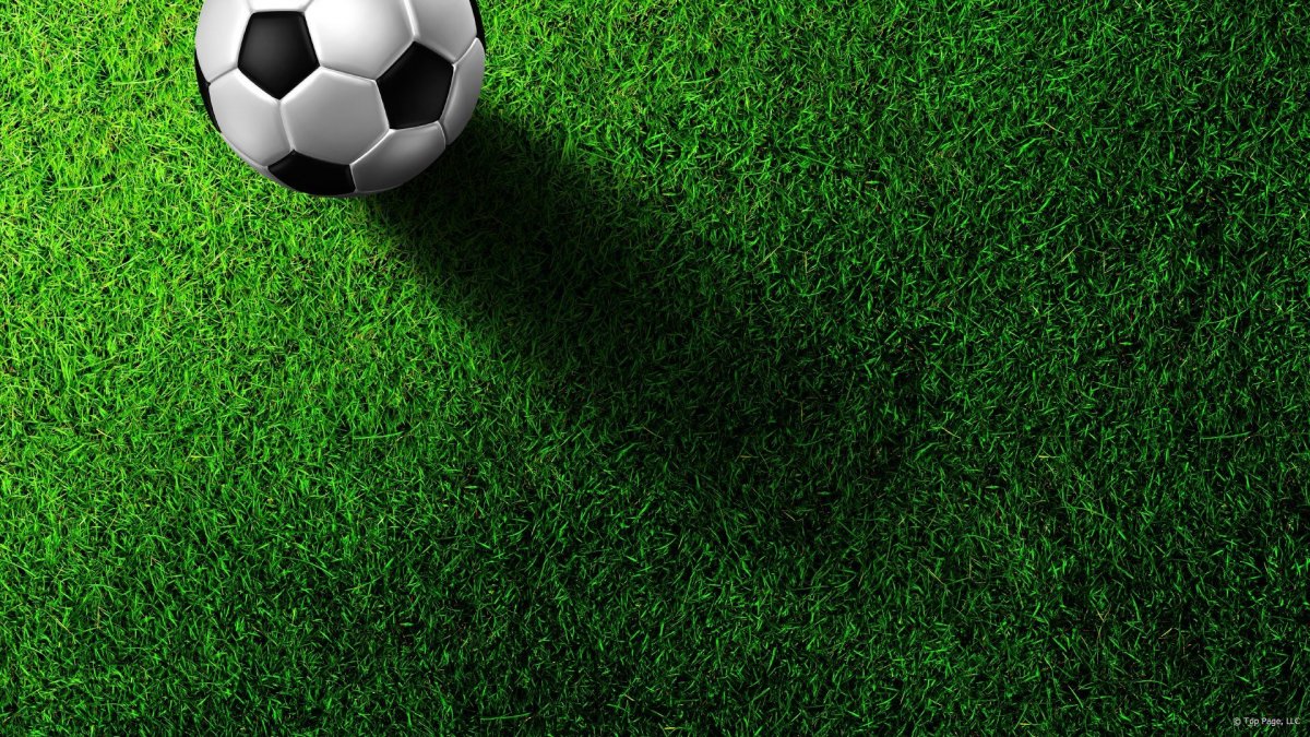 Футбольное поле газон