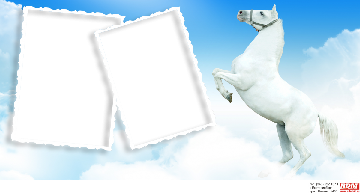 Рамка с лошадками