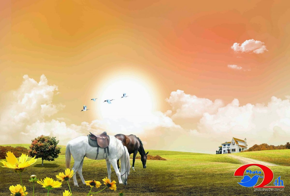 На баннер природа с лошадьми