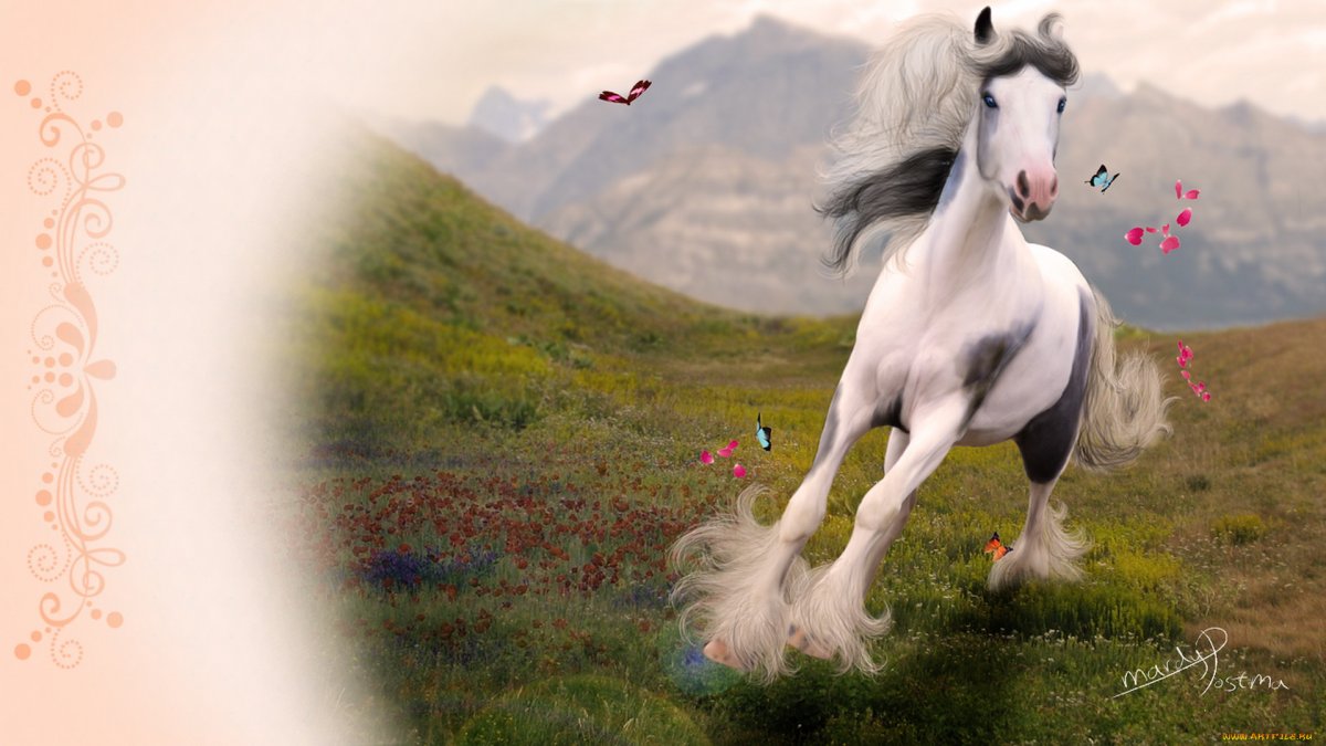 Фон для баннера лошади