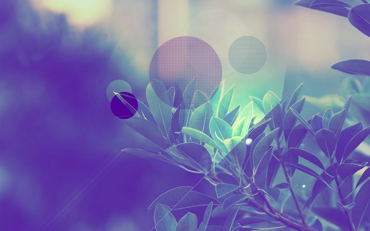 Креативные Абстракции