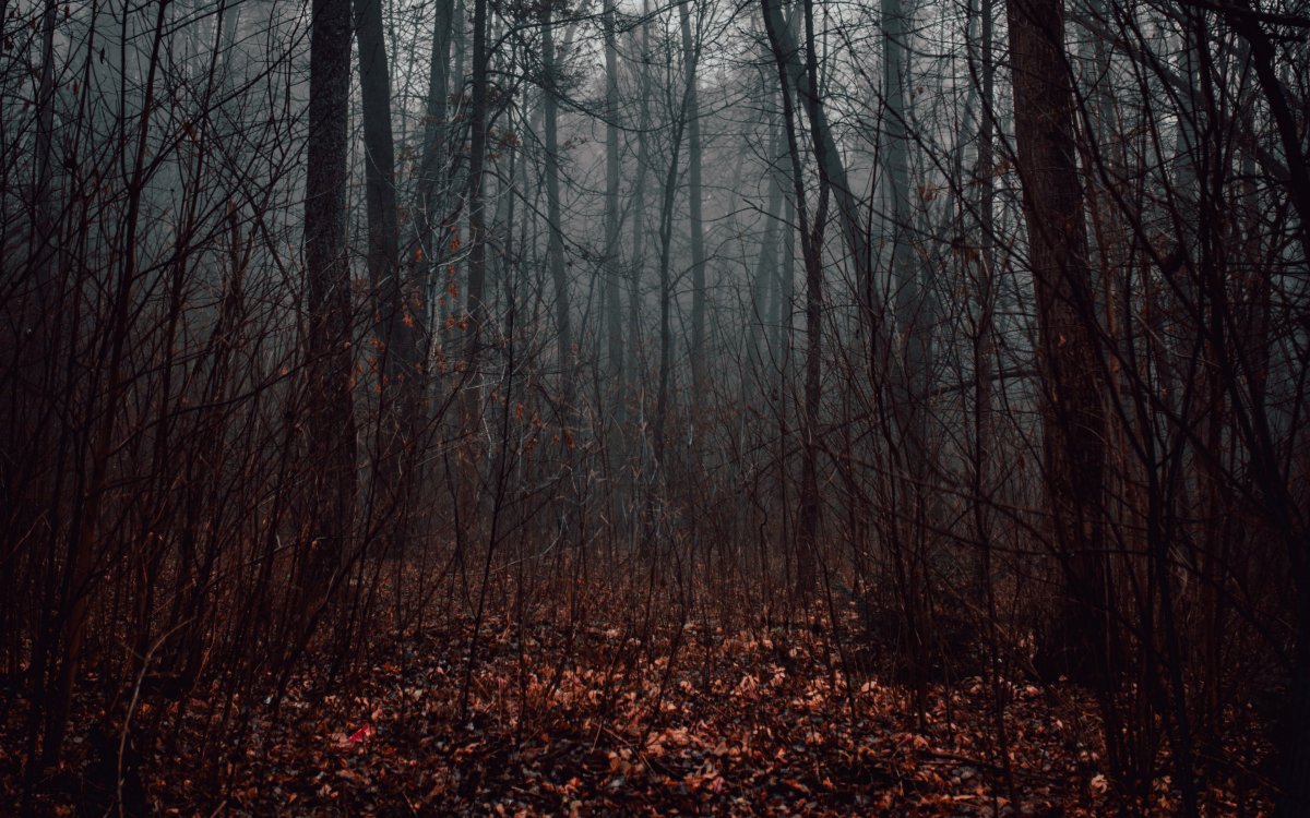 Темная Эстетика