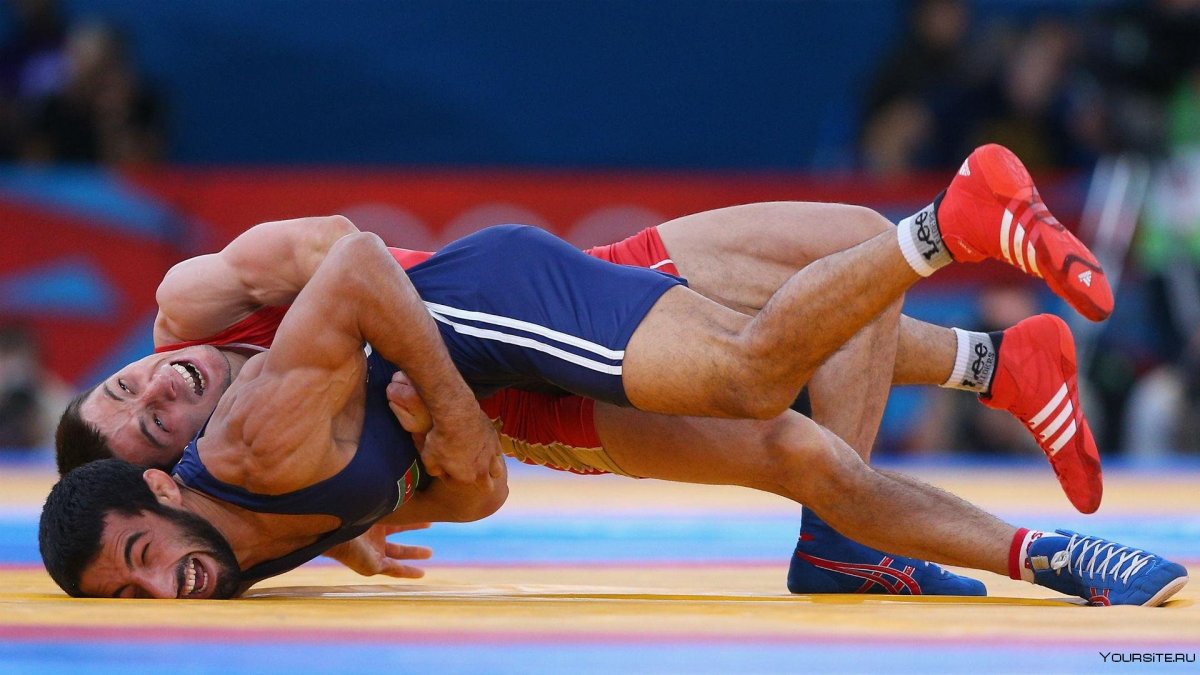 Греко Римская борьба лого