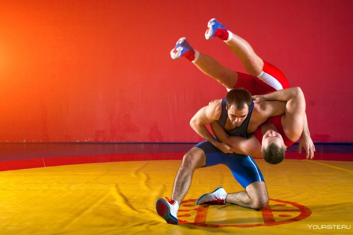 Греко Римская борьба фон