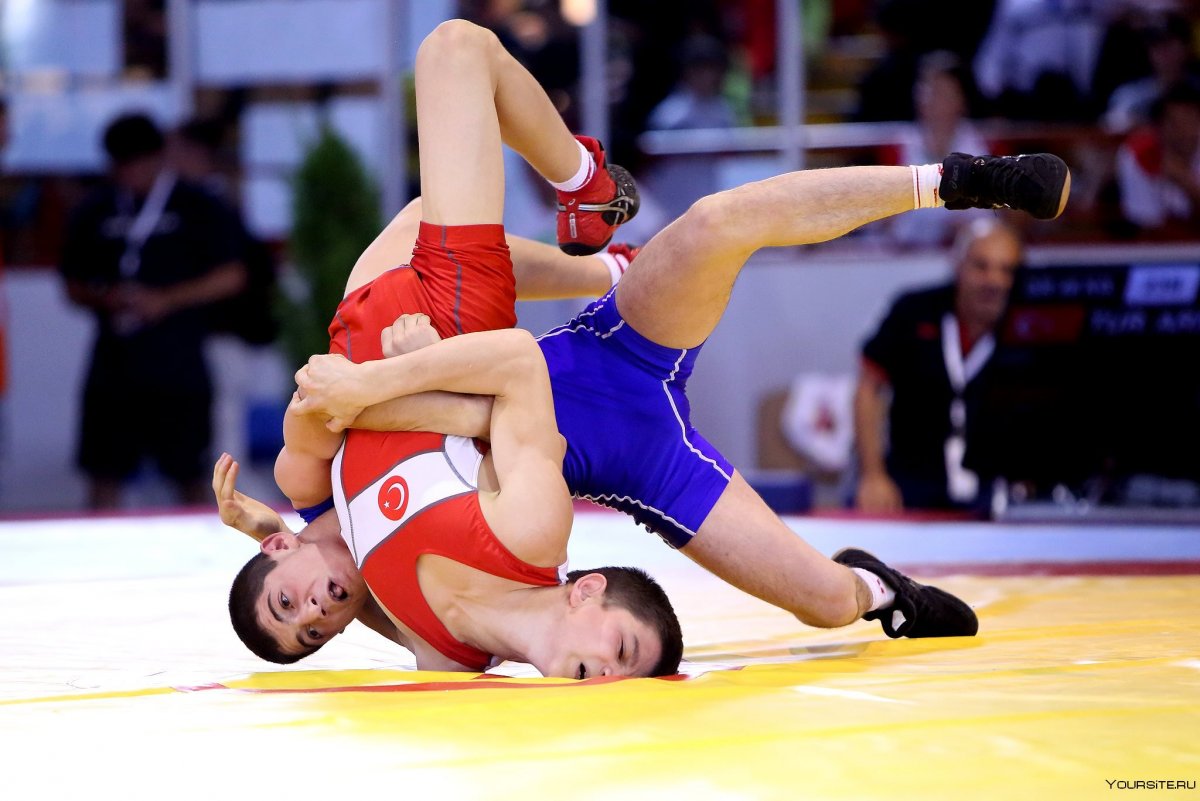 Реслинг Greco Roman