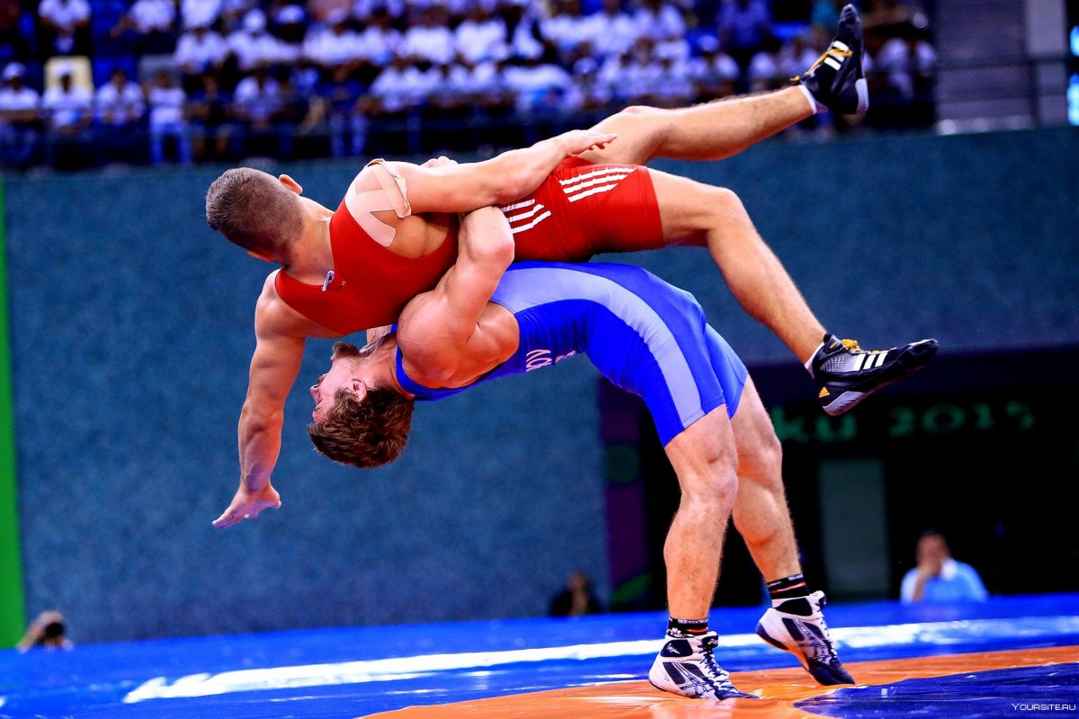 Назир Абдуллаев борец