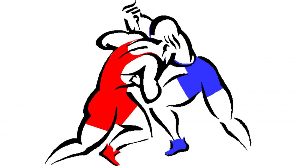 Вольная борьба вектор