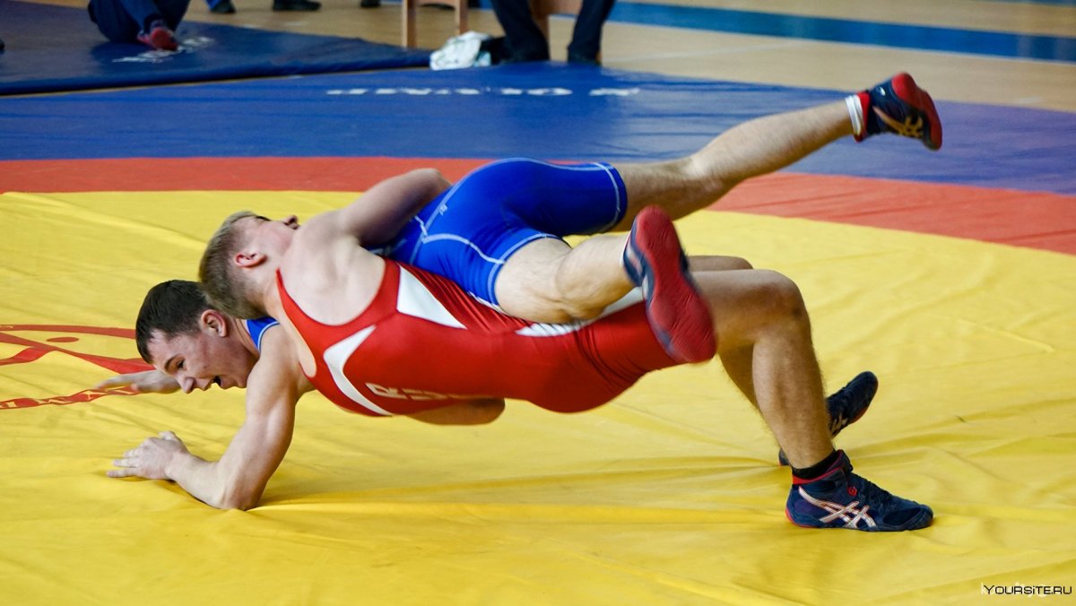 Селим яшар Вольная борьба