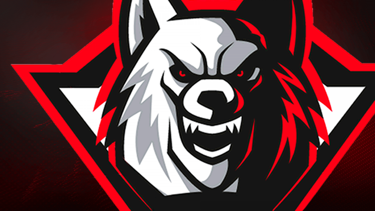 Биохазард хардстайл