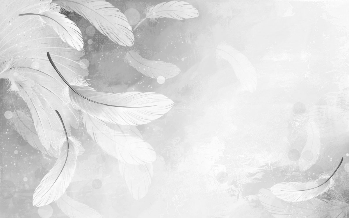 Красивый фон для презентации