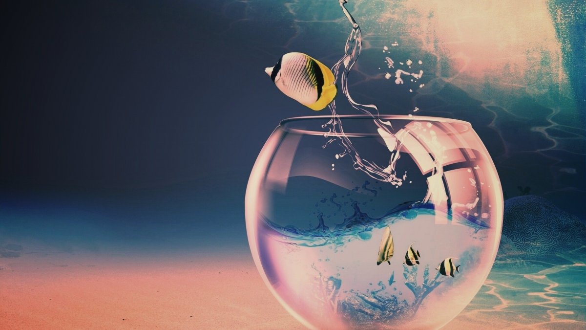 3d рыбка андроид