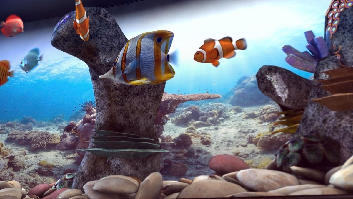 Аквариум 3д