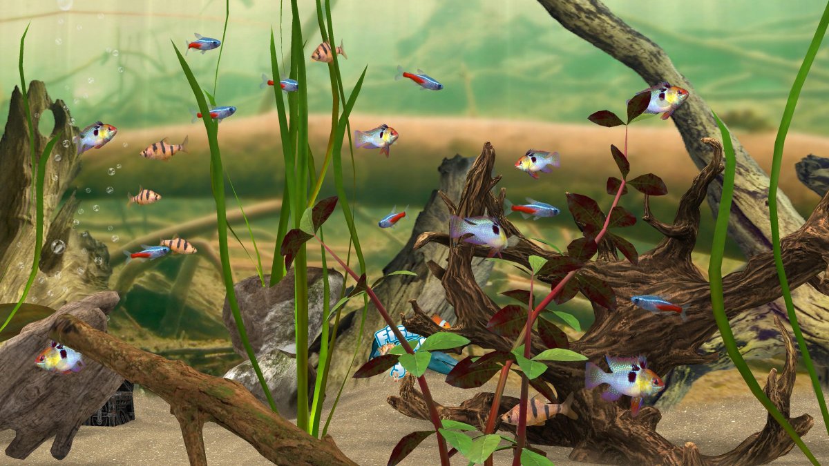 Живые обои на рабочий стол двигающиеся бесплатно аквариум