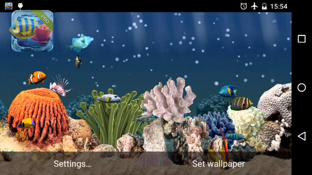 Аквариумные рыбки Минимализм