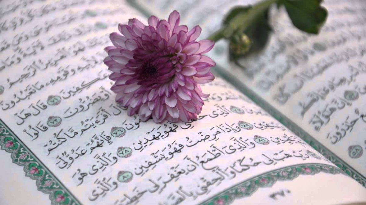 Мусульманская тематика