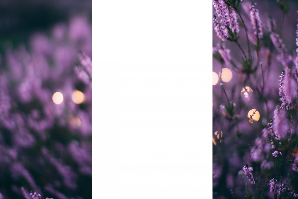 Эстетичные обои на телефон фиолетового цвета