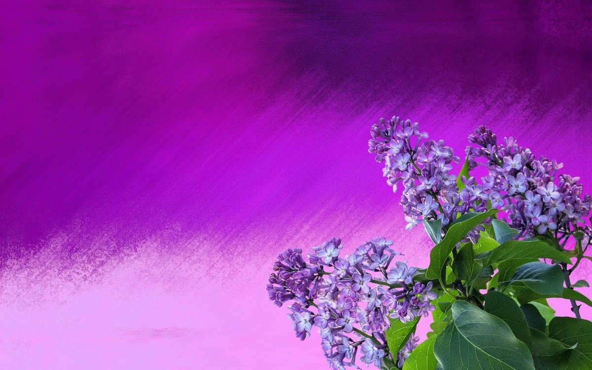 Цветочный узор на фиолетовом фоне