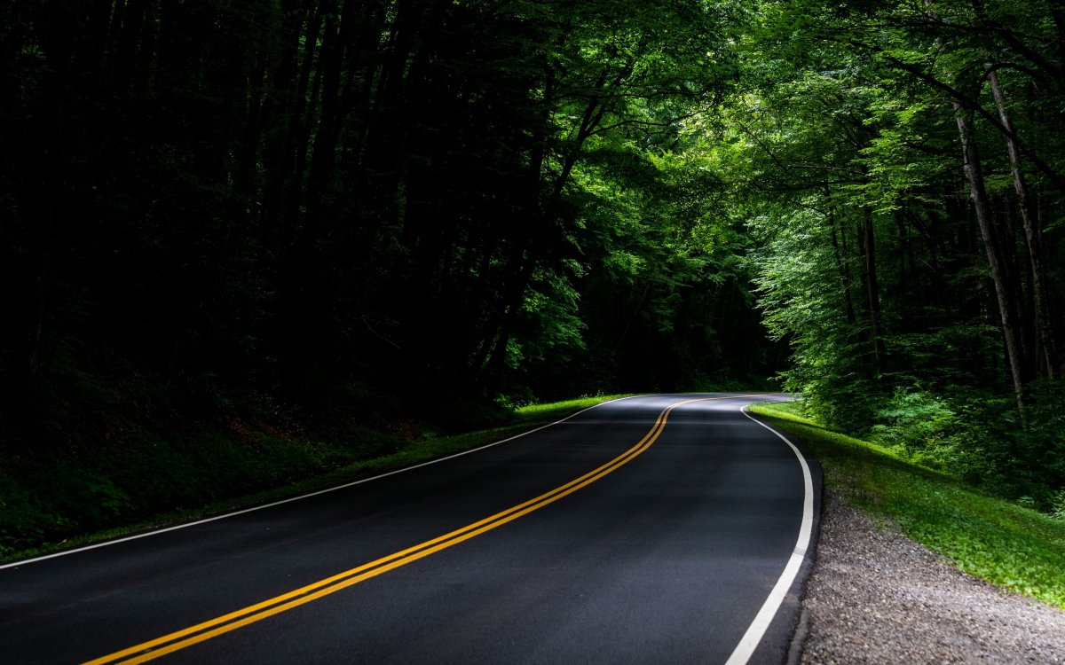 Красивая дорога