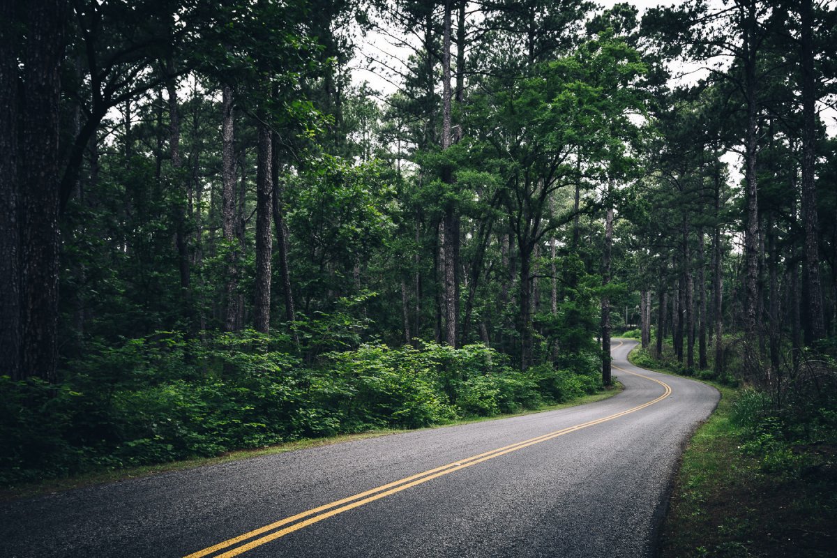 Природа зелень дорога