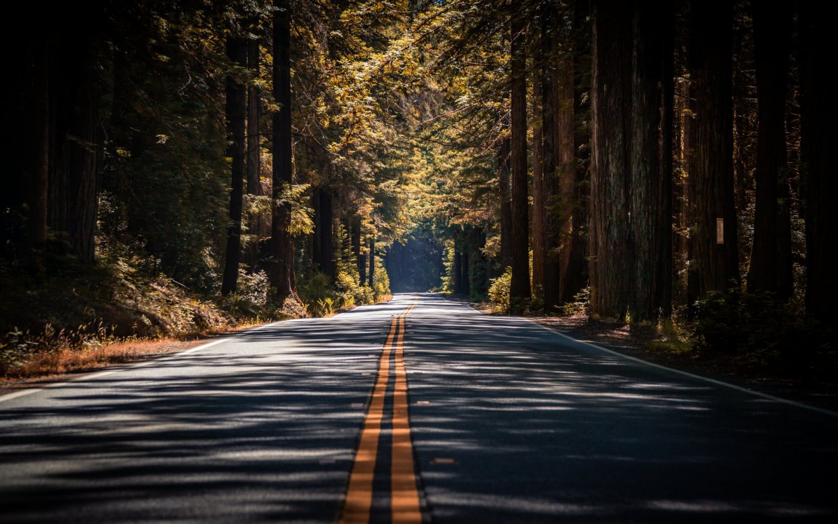 Лесные тропы Шварцвальд