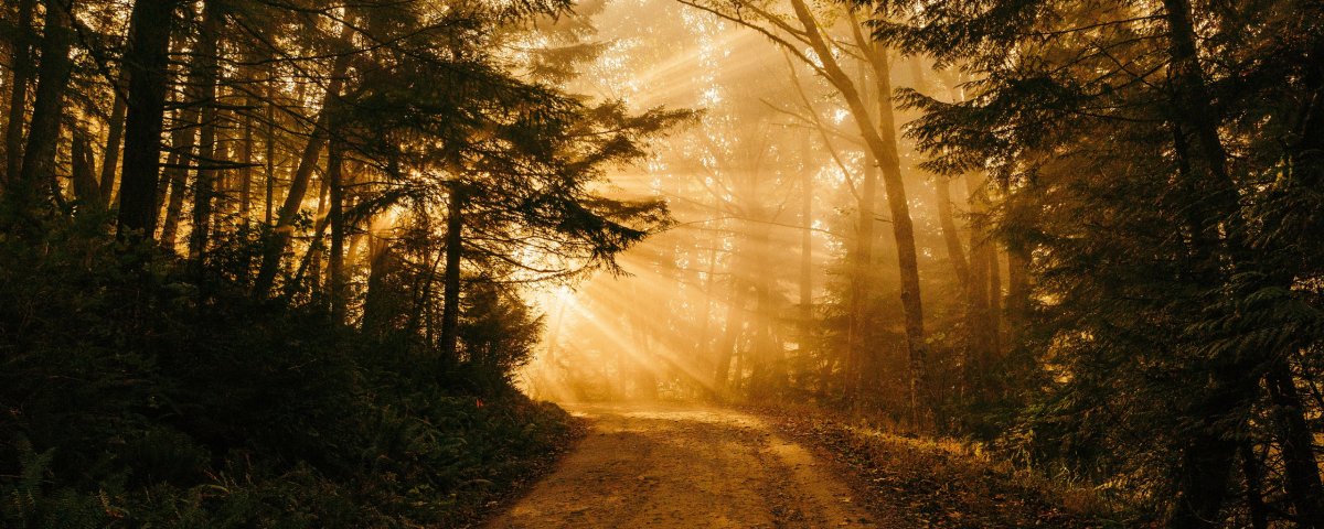 Солнечная дорога