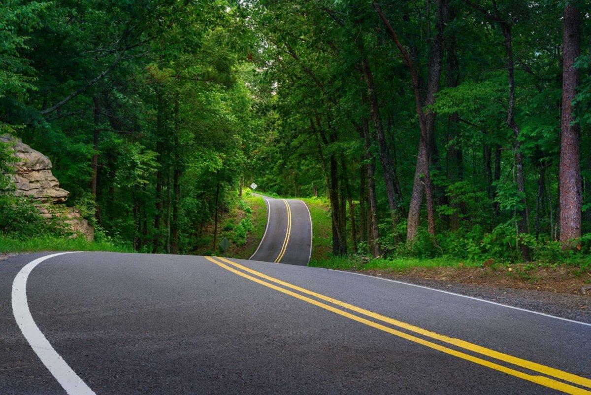 Старинная дорога в лесу