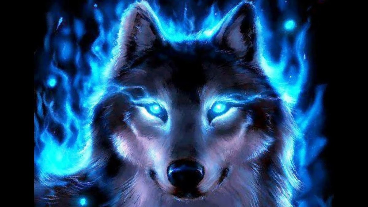 Красивые глаза Волков в темноте