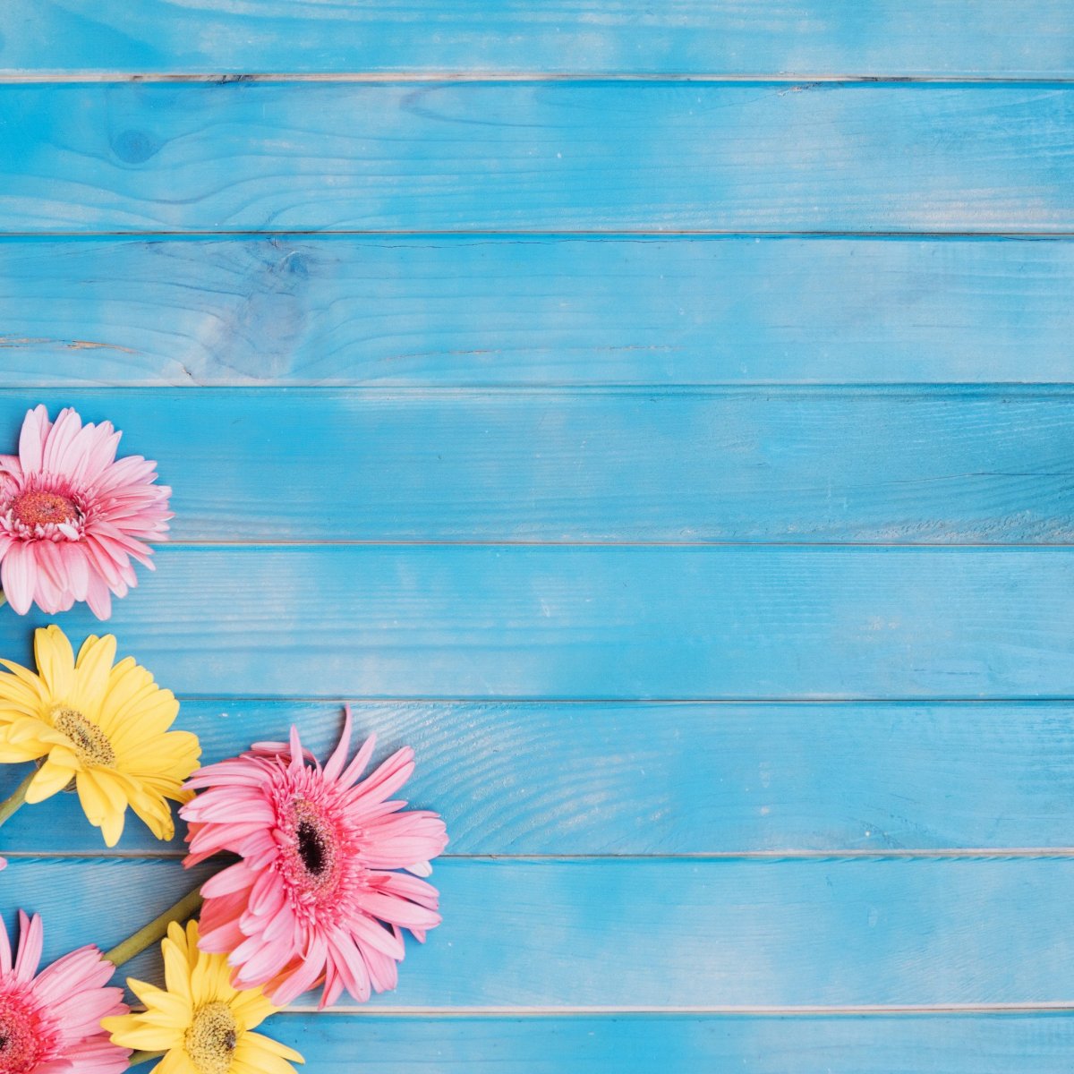 Фон для объявления