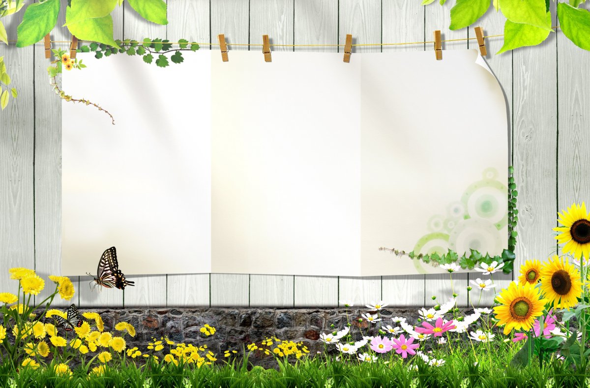 Красивый фон для объявления