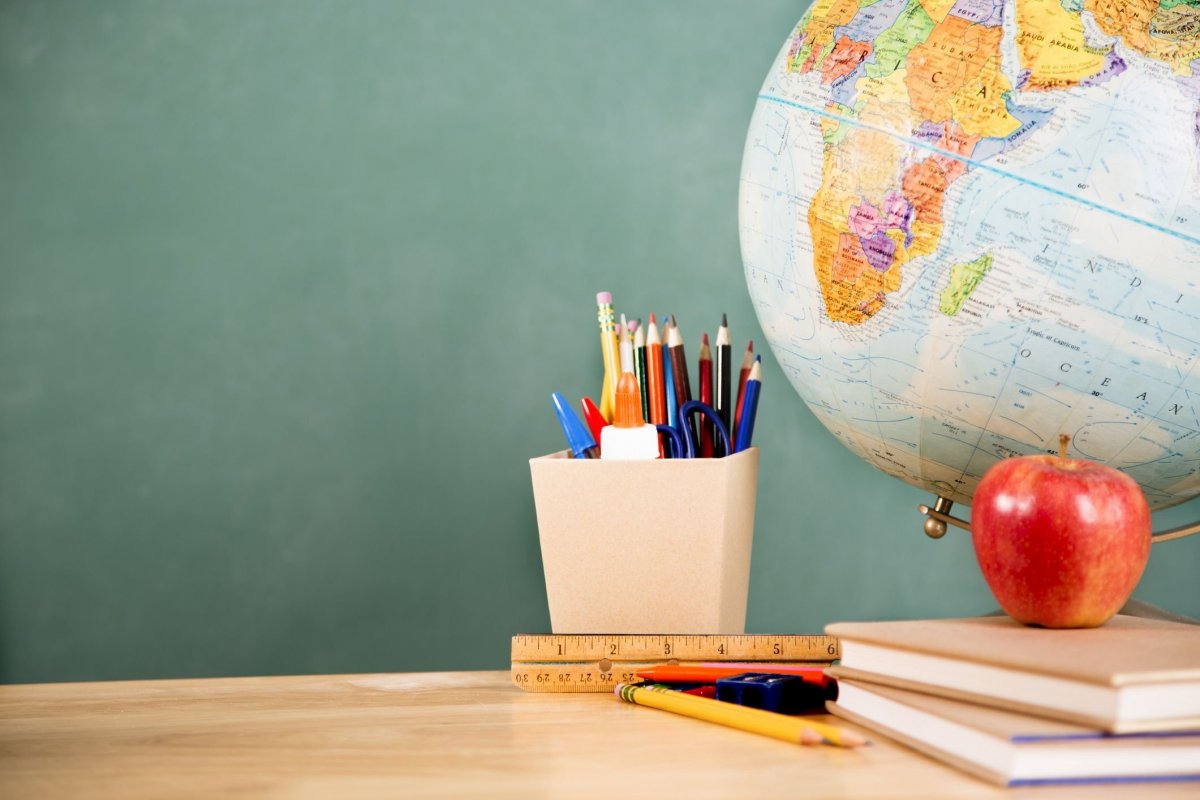 Герберы на синем фоне