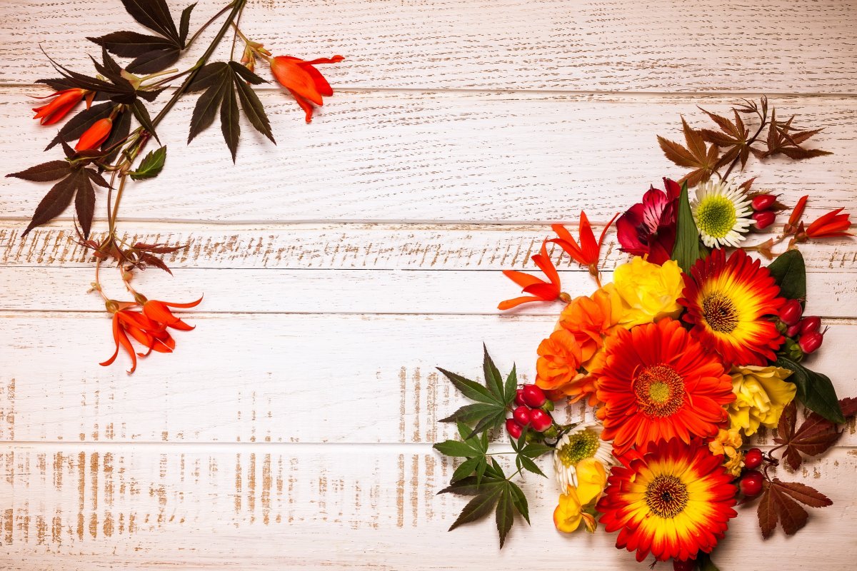 Школьный фон для презентации