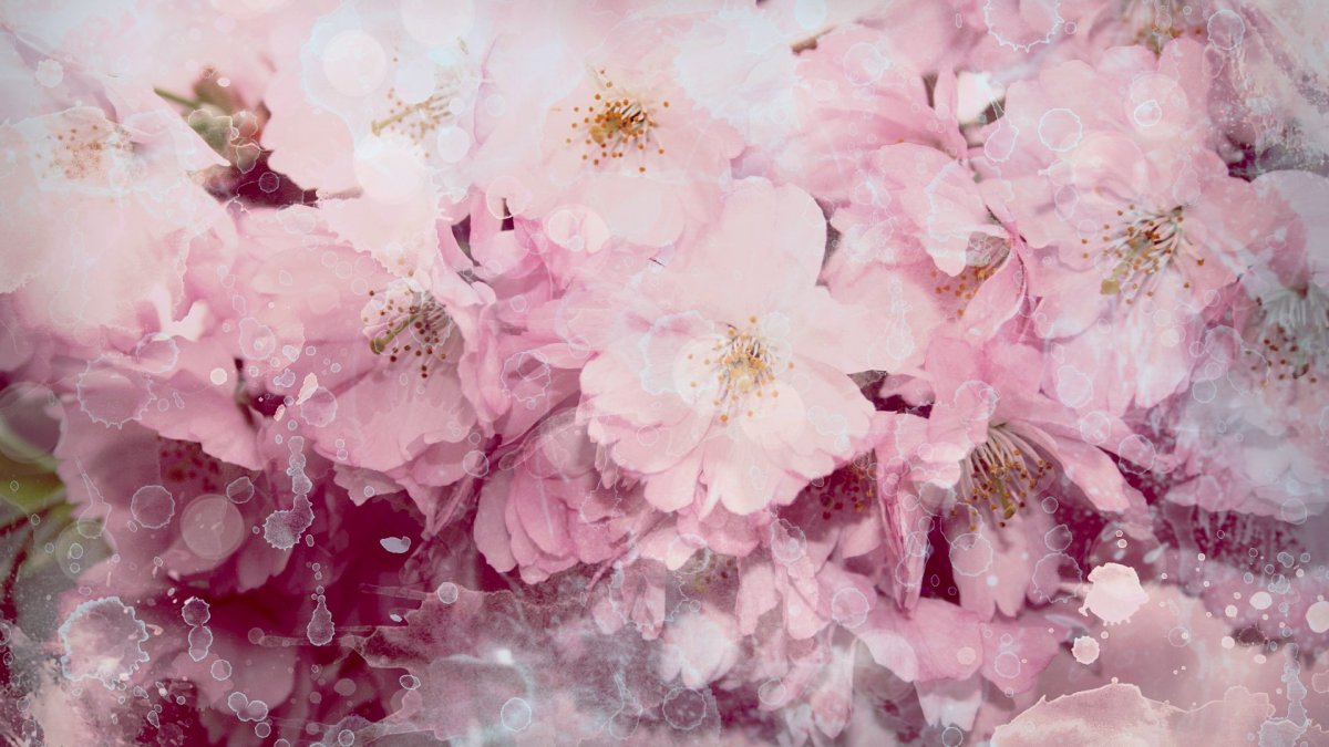 Красивая природа